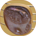 R.R. Traders Mother of pearl brass bangle, free size for women & girls - Image 3